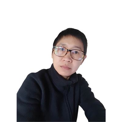 Colorlib Template